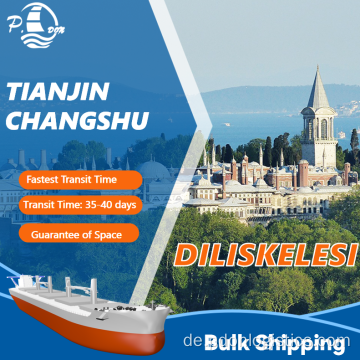 Bulkschifffahrt von Tianjin nach Diliskelesi